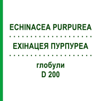 ЕХІНАЦЕЯ ПУРПУРЕА (ECHINACEA PURPUREA) D 200 глобули 10 г - Гомеопатія DR.RECKEWEG