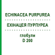 ЭХИНАЦЕЯ ПУРПУРЕА (ECHINACEA PURPUREA) D 200 глобули 10 г - Гомеопатия DR.RECKEWEG