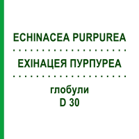 ЕХІНАЦЕЯ ПУРПУРЕА (ECHINACEA PURPUREA) D 30 глобули 10 г - Гомеопатія DR.RECKEWEG