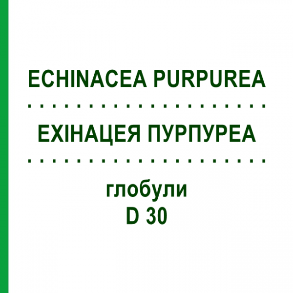 ЭХИНАЦЕЯ ПУРПУРЕА (ECHINACEA PURPUREA) D 30 глобули 10 г - Гомеопатия DR.RECKEWEG