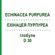 ЭХИНАЦЕЯ ПУРПУРЕА (ECHINACEA PURPUREA) D 30 глобули 10 г - Гомеопатия DR.RECKEWEG