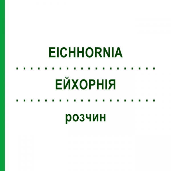 ЭЙХОРНИЯ (EICHHORNIA) раствор 50 мл - Гомеопатия DHU