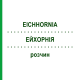 ЭЙХОРНИЯ (EICHHORNIA) раствор 50 мл - Гомеопатия DHU