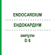 ЕНДОКАРДІУМ (ENDOCARDIUM) D 8 ампули 10x1 мл - Гомеопатія WALA HEILMITTEL