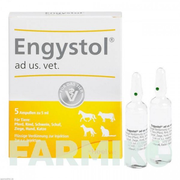 ЕНГІСТОЛ (ENGYSTOL) ампули 5 шт - Гомеопатія BIOLOGISCHE HEILMITTEL HEEL