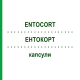 ЕНТОКОРТ (ENTOCORT) капсули 100 шт - Будесонід EURIMPHARM