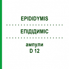 ЕПІДІДИМІС (EPIDIDYMIS) D 12 ампули 10x1 мл - Гомеопатія WALA HEILMITTEL