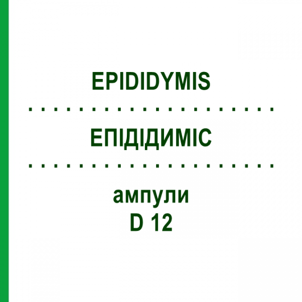 ЕПІДІДИМІС (EPIDIDYMIS) D 12 ампули 10x1 мл - Гомеопатія WALA HEILMITTEL
