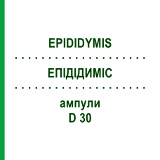 ЕПІДІДИМІС (EPIDIDYMIS) D 30 ампули 10x1 мл - Гомеопатія WALA HEILMITTEL