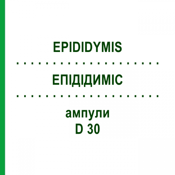 ЕПІДІДИМІС (EPIDIDYMIS) D 30 ампули 10x1 мл - Гомеопатія WALA HEILMITTEL
