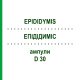 ЕПІДІДИМІС (EPIDIDYMIS) D 30 ампули 10x1 мл - Гомеопатія WALA HEILMITTEL