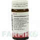 ЭПИФИЗИС ПЛЮМБУМ (EPIPHYSIS PLUMBUM) глобули 20 г - Гомеопатия WALA HEILMITTEL