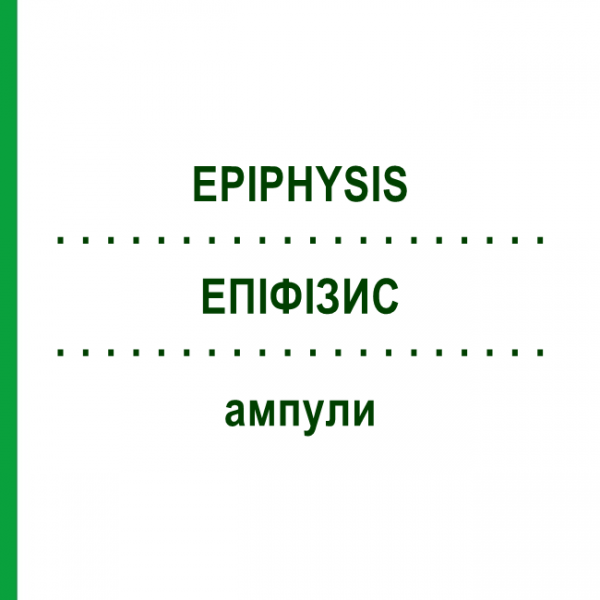 ЭПИФИЗИС (EPIPHYSIS) ампулы 10x1 мл - Гомеопатия WALA HEILMITTEL
