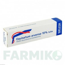 ЕКВІЗЕТУМ АРВЕНСЕ (EQUISETUM ARVENSE) 10% мазь 25 г - Гомеопатія WELEDA