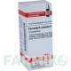 ЭКВИЗЕТУМ АРВЕНСЕ (EQUISETUM ARVENSE) D 3 глобули 10 г - Гомеопатия DHU