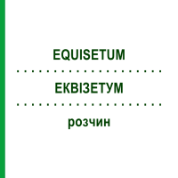 ЭКВИЗЕТУМ (EQUISETUM) раствор 20 мл - Гомеопатия HANOSAN