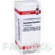 ЭКВИЗЕТУМ ХИМАЛЕ (EQUISETUM HIEMALE) D 12 глобули 10 г - Гомеопатия DHU
