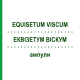 ЭКВИЗЕТУМ ВИСКУМ (EQUISETUM VISCUM) ампулы 50x1 мл - Гомеопатия WALA HEILMITTEL