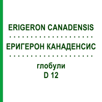 ЕРИГЕРОН КАНАДЕНСИС (ERIGERON CANADENSIS) D 12 глобули 10 г - Гомеопатія DHU