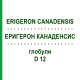 ЭРИГЕРОН КАНАДЕНСИС (ERIGERON CANADENSIS) D 12 глобули 10 г - Гомеопатия DHU