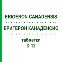 ЭРИГЕРОН КАНАДЕНСИС (ERIGERON CANADENSIS) D 12 таблетки 80 шт - Гомеопатия DHU