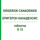 ЭРИГЕРОН КАНАДЕНСИС (ERIGERON CANADENSIS) D 12 таблетки 80 шт - Гомеопатия DHU