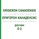 ЭРИГЕРОН КАНАДЕНСИС (ERIGERON CANADENSIS) D 2 раствор 20 мл - Гомеопатия DHU