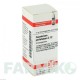 ЕВПАТОРИУМ ПЕРФОЛИАТУМ (EUPATORIUM PERFOLIATUM) C 12 глобули 10 г - Гомеопатия DHU