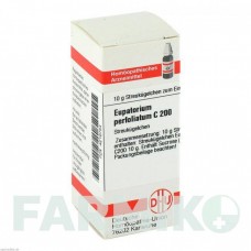 ЕВПАТОРИУМ ПЕРФОЛИАТУМ (EUPATORIUM PERFOLIATUM) C 200 глобули 10 г - Гомеопатия DHU