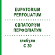 ЕВПАТОРИУМ ПЕРФОЛИАТУМ (EUPATORIUM PERFOLIATUM) C 30 глобули 1,5 г - Гомеопатия GUDJONS