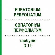 ЄВПАТОРІУМ ПЕРФОЛІАТУМ (EUPATORIUM PERFOLIATUM) D 12 глобули 10 г - Гомеопатія DR.RECKEWEG