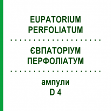 ЕВПАТОРИУМ ПЕРФОЛИАТУМ (EUPATORIUM PERFOLIATUM) D 4 ампулы 8x1 мл - Гомеопатия DHU