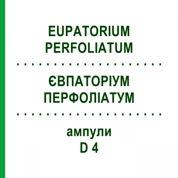 ЕВПАТОРИУМ ПЕРФОЛИАТУМ (EUPATORIUM PERFOLIATUM) D 4 ампулы 8x1 мл - Гомеопатия DHU
