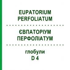 ЕВПАТОРИУМ ПЕРФОЛИАТУМ (EUPATORIUM PERFOLIATUM) D 4 глобули 10 г - Гомеопатия SPAGYRA