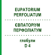 ЕВПАТОРИУМ ПЕРФОЛИАТУМ (EUPATORIUM PERFOLIATUM) D 4 глобули 10 г - Гомеопатия SPAGYRA