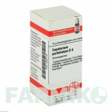ЕВПАТОРИУМ ПЕРФОЛИАТУМ (EUPATORIUM PERFOLIATUM) D 6 глобули 10 г - Гомеопатия DHU