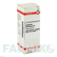 ЕВПАТОРИУМ ПЕРФОЛИАТУМ (EUPATORIUM PERFOLIATUM) D 6 раствор 20 мл - Гомеопатия DHU