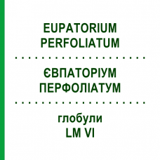 ЕВПАТОРИУМ ПЕРФОЛИАТУМ (EUPATORIUM PERFOLIATUM) LM VI глобули 5 г - Гомеопатия DHU