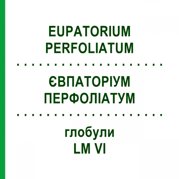 ЕВПАТОРИУМ ПЕРФОЛИАТУМ (EUPATORIUM PERFOLIATUM) LM VI глобули 5 г - Гомеопатия DHU
