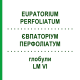 ЕВПАТОРИУМ ПЕРФОЛИАТУМ (EUPATORIUM PERFOLIATUM) LM VI глобули 5 г - Гомеопатия DHU