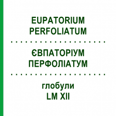 ЕВПАТОРИУМ ПЕРФОЛИАТУМ (EUPATORIUM PERFOLIATUM) LM XII глобули 5 г - Гомеопатия DHU