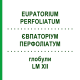 ЕВПАТОРИУМ ПЕРФОЛИАТУМ (EUPATORIUM PERFOLIATUM) LM XII глобули 5 г - Гомеопатия DHU