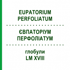 ЕВПАТОРИУМ ПЕРФОЛИАТУМ (EUPATORIUM PERFOLIATUM) LM XVIII глобули 5 г - Гомеопатия DHU