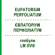 ЕВПАТОРИУМ ПЕРФОЛИАТУМ (EUPATORIUM PERFOLIATUM) LM XVIII глобули 5 г - Гомеопатия DHU