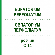 ЕВПАТОРИУМ ПЕРФОЛИАТУМ (EUPATORIUM PERFOLIATUM) Q 14 раствор 15 мл - Гомеопатия GUDJONS