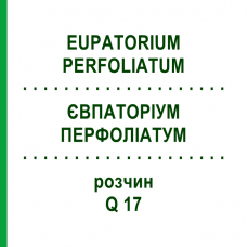 ЕВПАТОРИУМ ПЕРФОЛИАТУМ (EUPATORIUM PERFOLIATUM) Q 17 раствор 15 мл - Гомеопатия GUDJONS