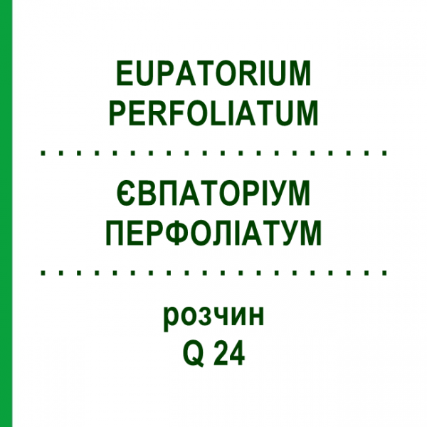 ЕВПАТОРИУМ ПЕРФОЛИАТУМ (EUPATORIUM PERFOLIATUM) Q 24 раствор 15 мл - Гомеопатия GUDJONS