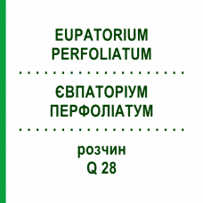 ЕВПАТОРИУМ ПЕРФОЛИАТУМ (EUPATORIUM PERFOLIATUM) Q 28 раствор 15 мл - Гомеопатия GUDJONS
