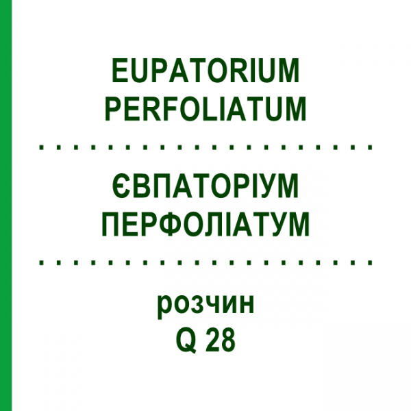 ЕВПАТОРИУМ ПЕРФОЛИАТУМ (EUPATORIUM PERFOLIATUM) Q 28 раствор 15 мл - Гомеопатия GUDJONS