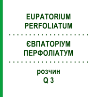 ЄВПАТОРІУМ ПЕРФОЛІАТУМ (EUPATORIUM PERFOLIATUM) Q 3 розчин 15 мл - Гомеопатія GUDJONS